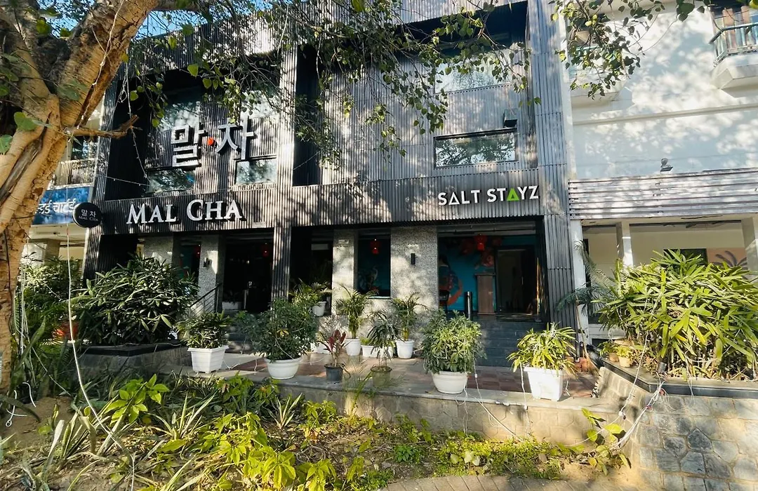 Saltstayz Select - Malcha & Chankyapuri-1